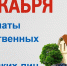 О сроке уплаты имущественных налогов в 2021 году - Емельяновский район