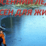 Осенний лед опасен!. - Емельяновский район